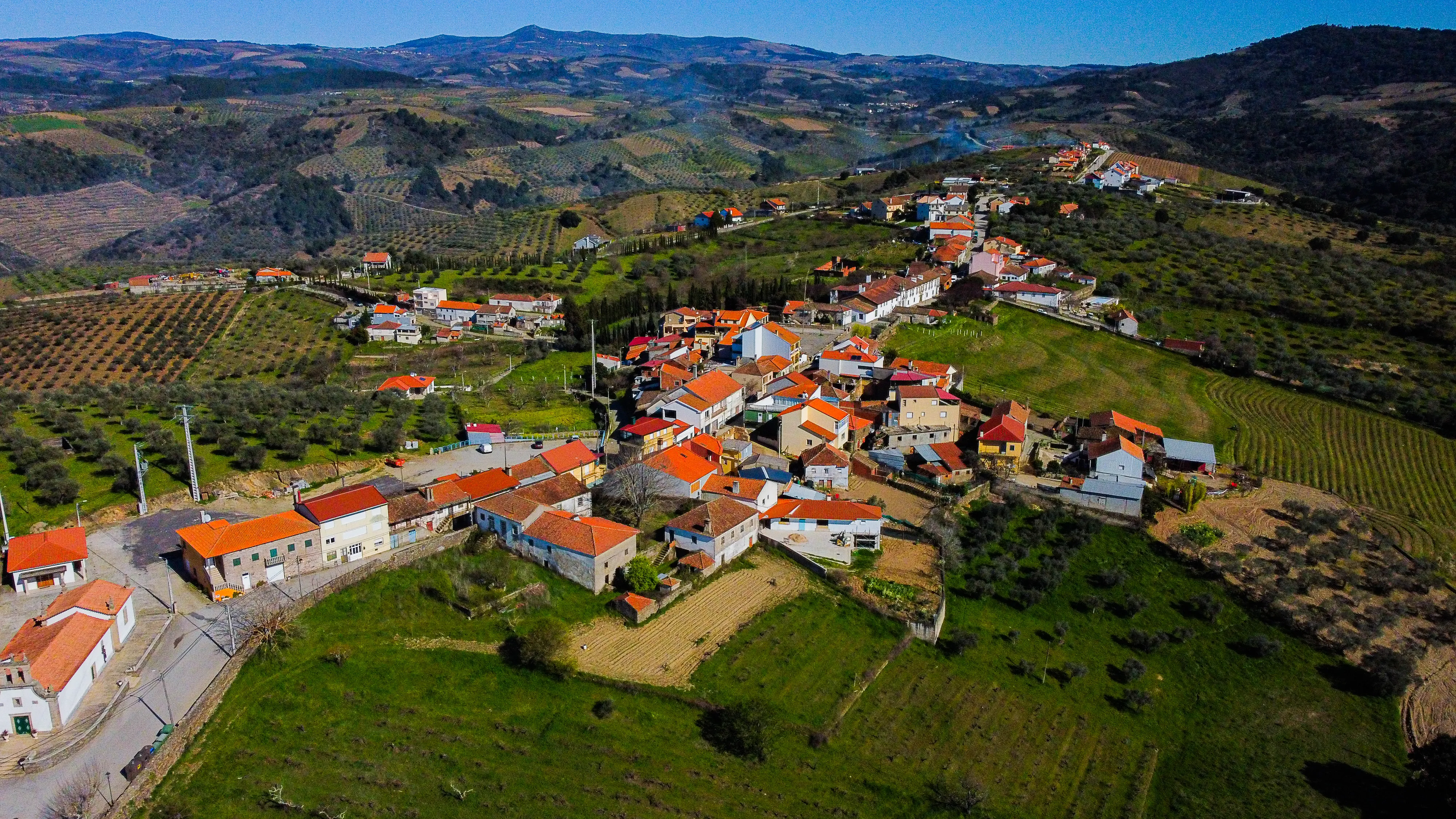 Fotografia com linhas da vinha