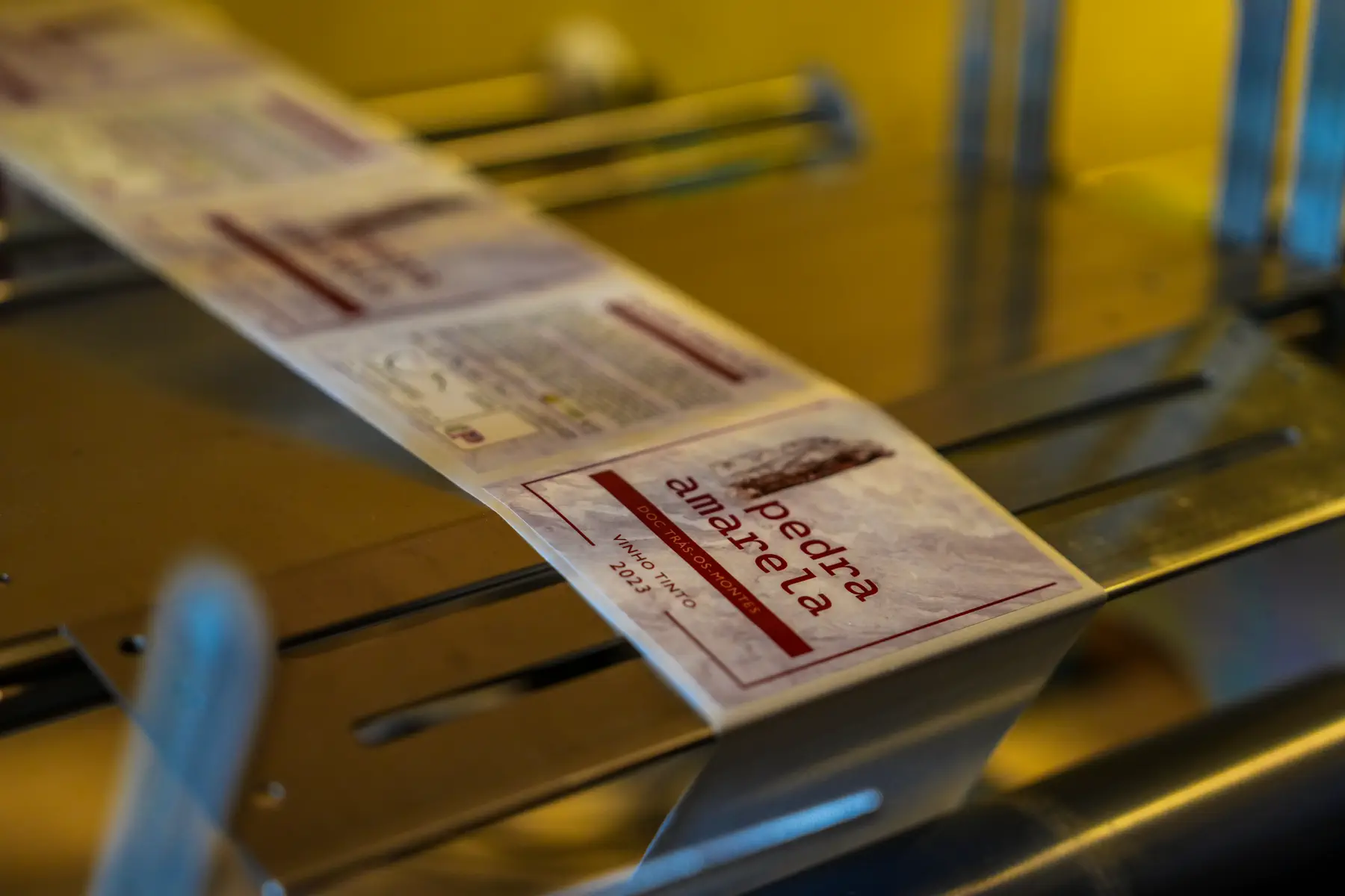 Fotografia de detalhes da vinha