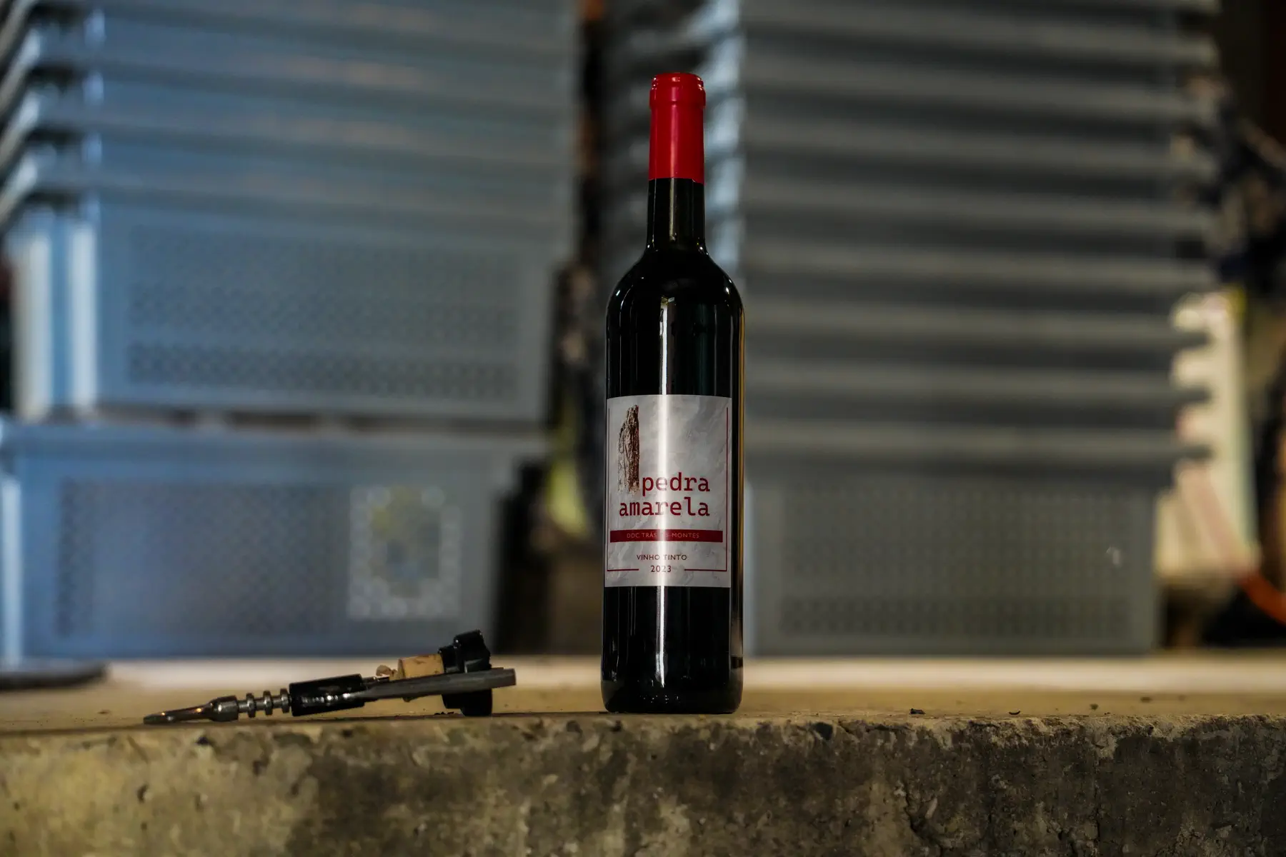 Fotografia do território