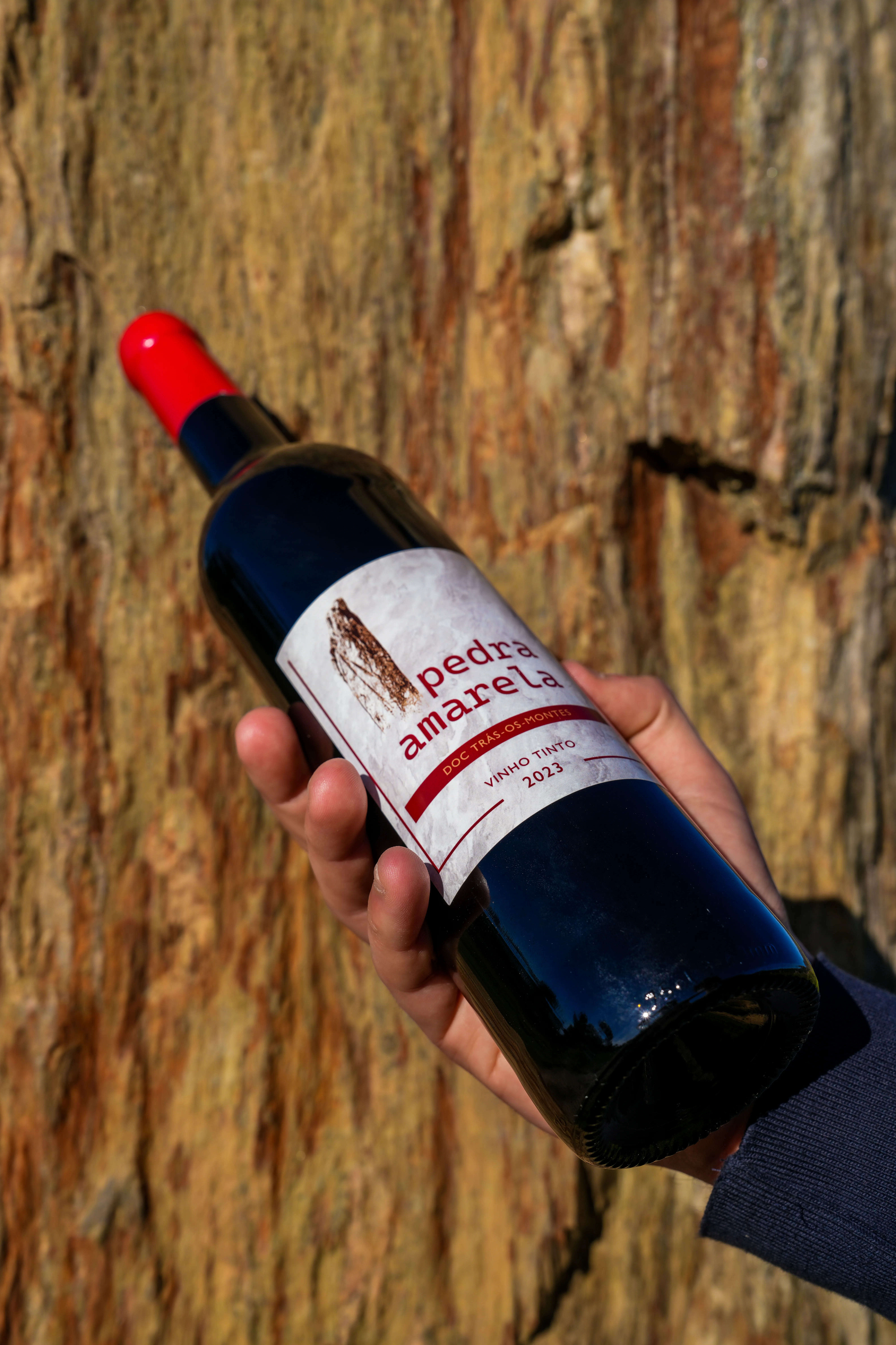 Fotografia de momento na vinha