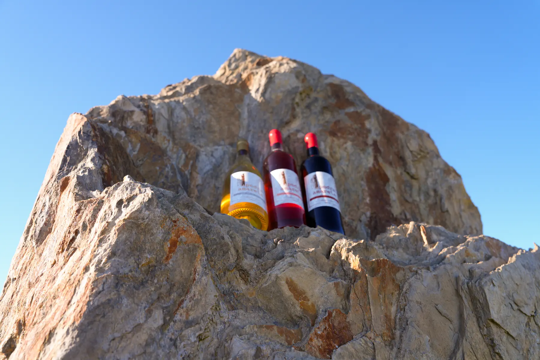 Fotografia da vinha Pedra Amarela