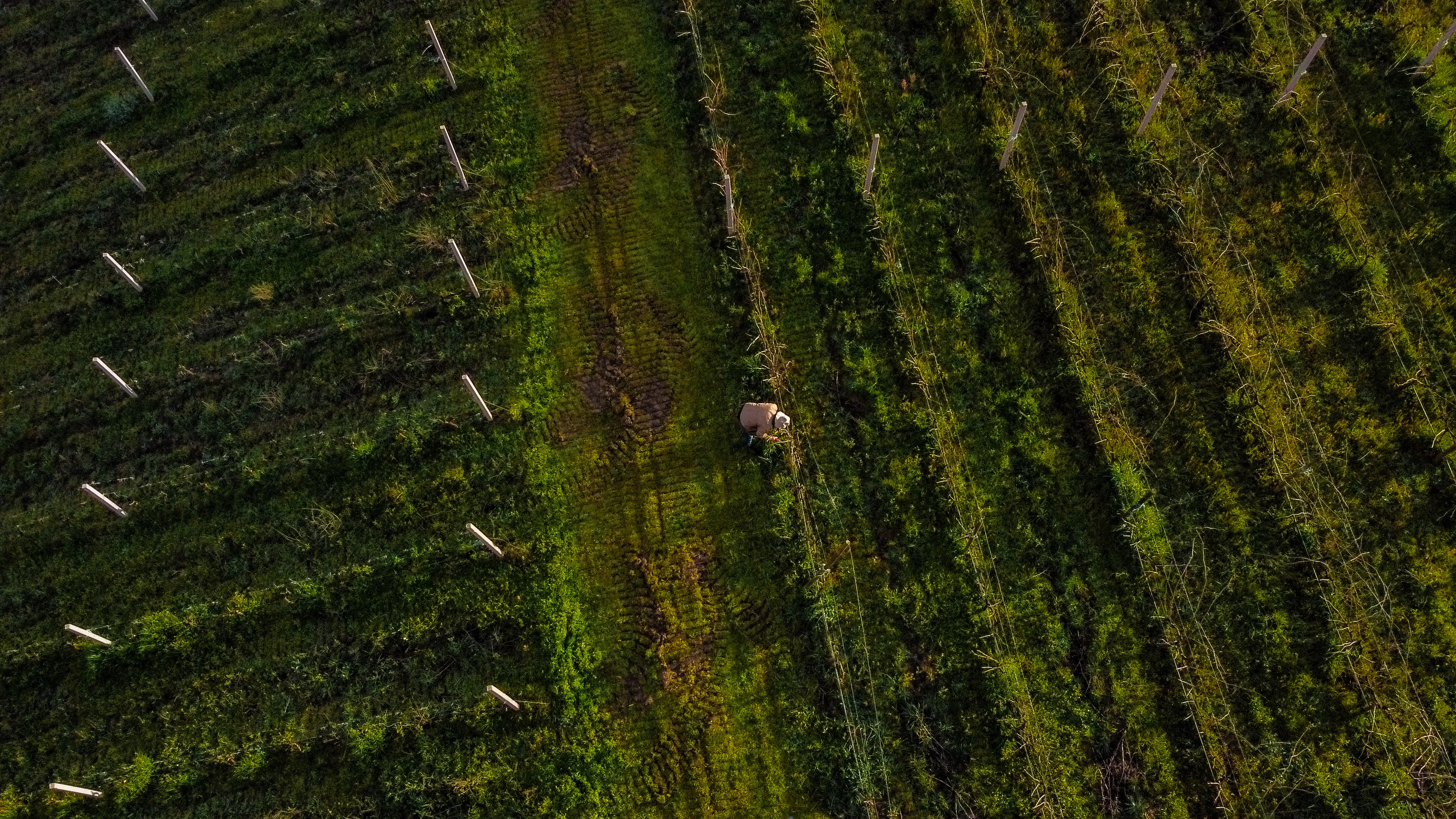 Fotografia final da coleção Pedra Amarela